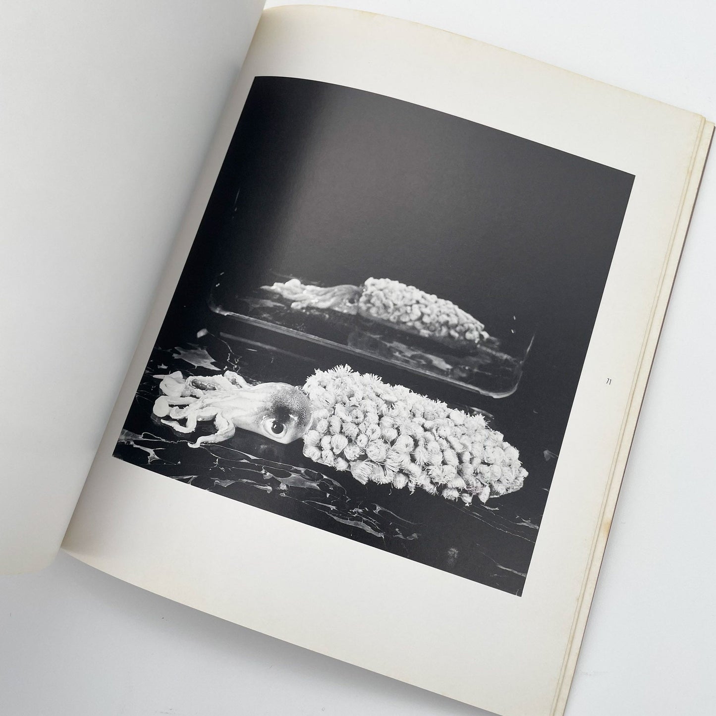 今道子　EAT （サイン入り） - 文福