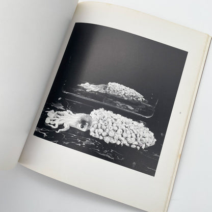 今道子　EAT （サイン入り） - 文福