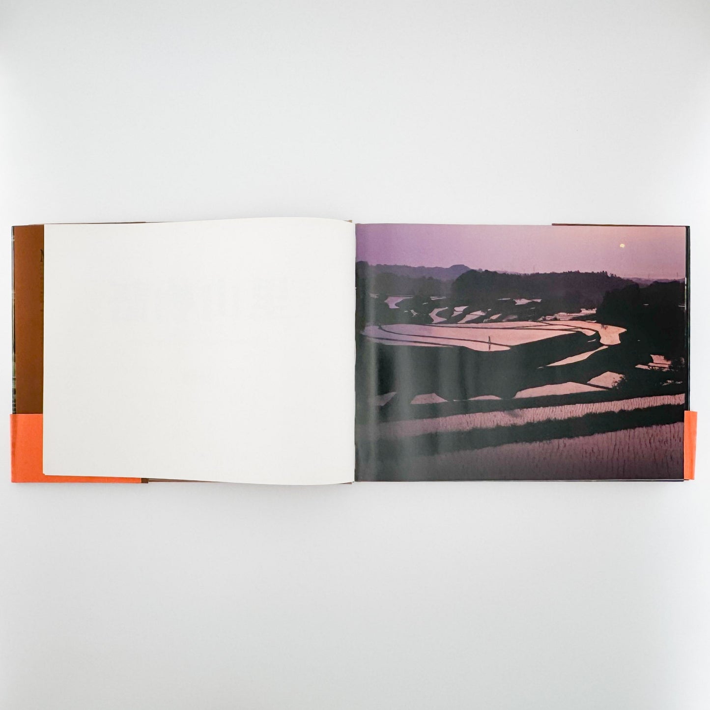 今森光彦　里山物語　In Harmony with Neighboring Nature 新潮社