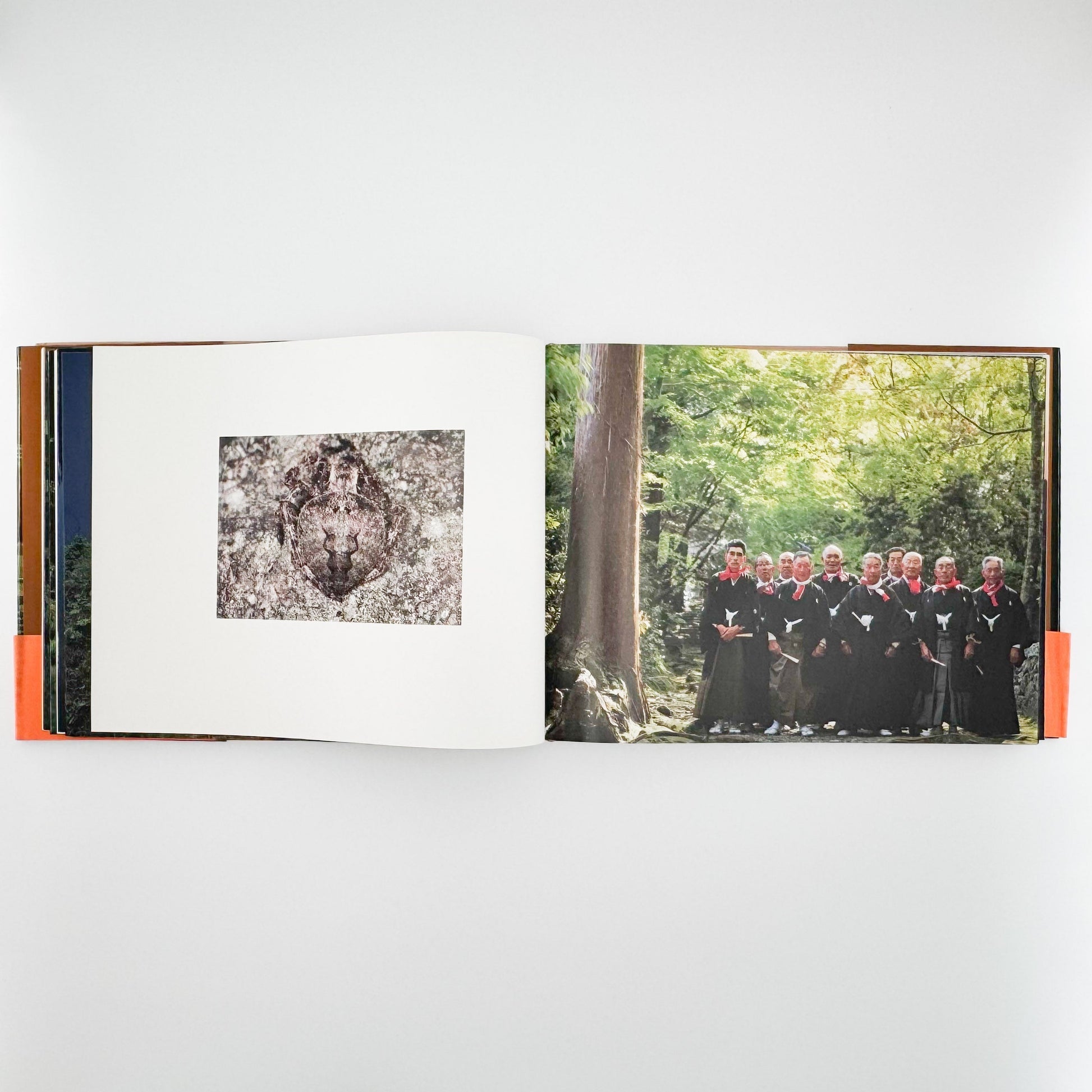 今森光彦　里山物語　In Harmony with Neighboring Nature 新潮社