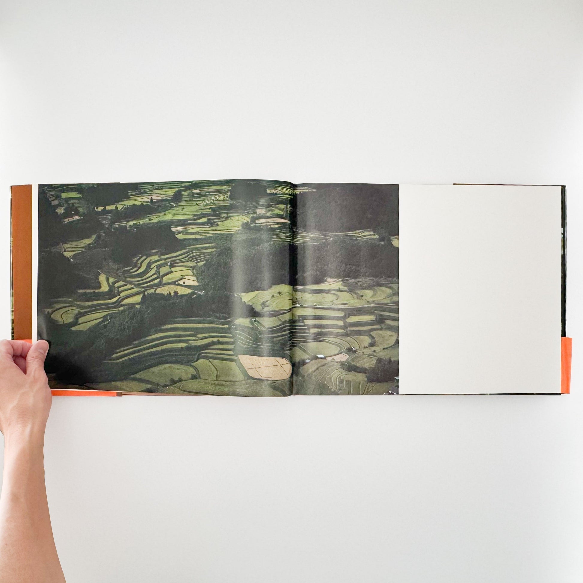 今森光彦　里山物語　In Harmony with Neighboring Nature 新潮社