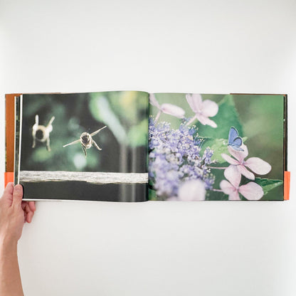 今森光彦　里山物語　In Harmony with Neighboring Nature 新潮社