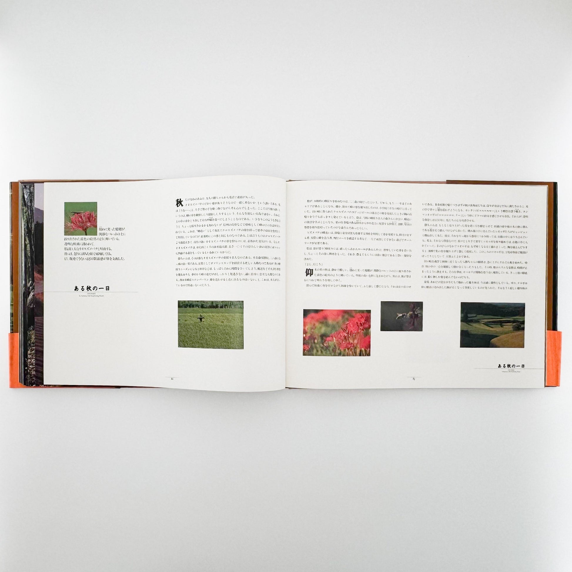 今森光彦　里山物語　In Harmony with Neighboring Nature 新潮社