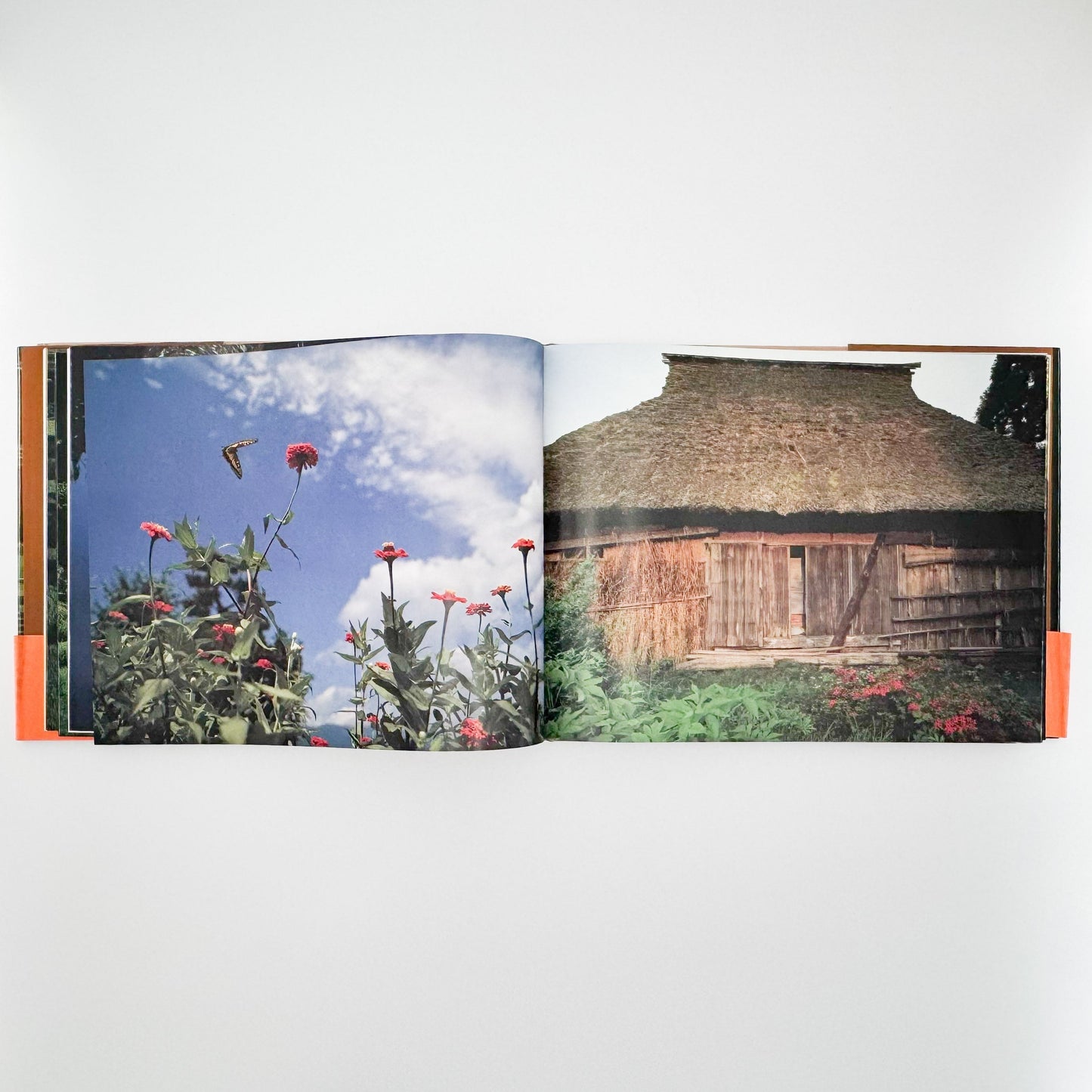 今森光彦　里山物語　In Harmony with Neighboring Nature 新潮社