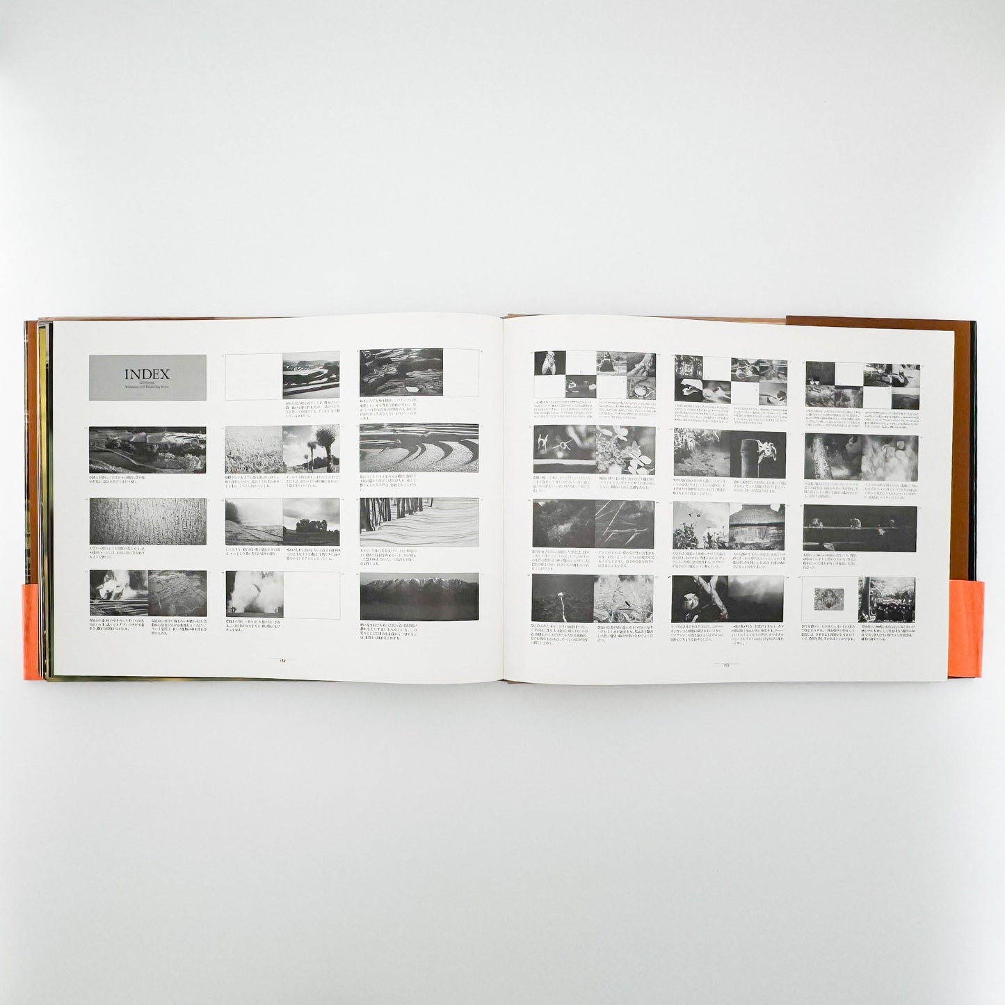 今森光彦　里山物語　In Harmony with Neighboring Nature 新潮社