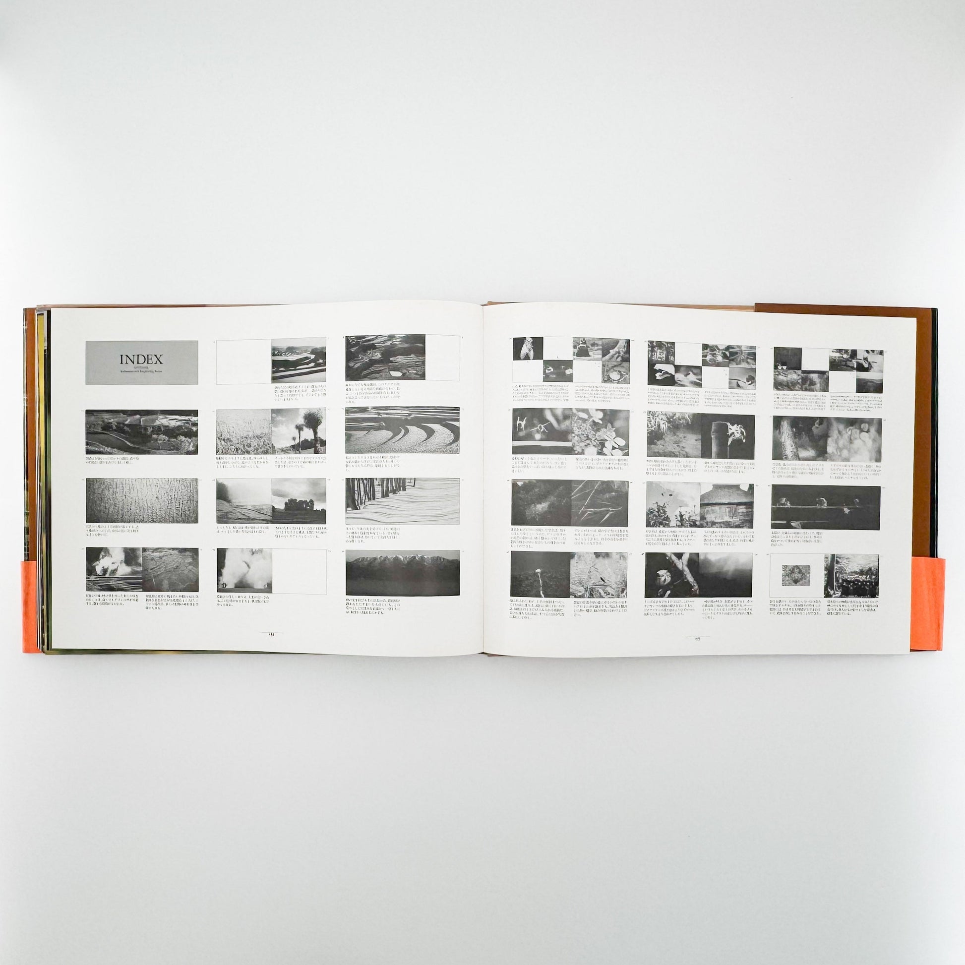 今森光彦　里山物語　In Harmony with Neighboring Nature 新潮社