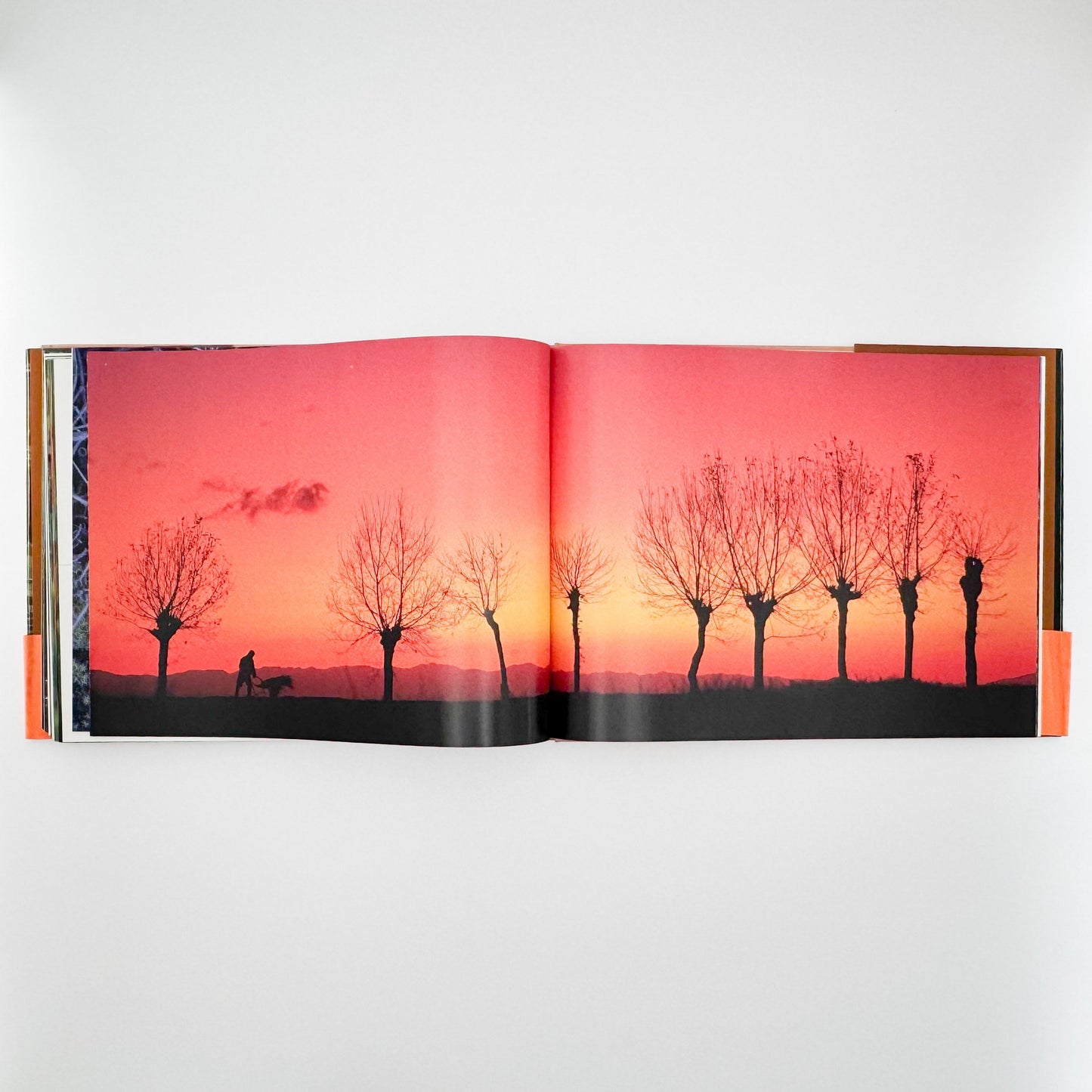 今森光彦　里山物語　In Harmony with Neighboring Nature 新潮社