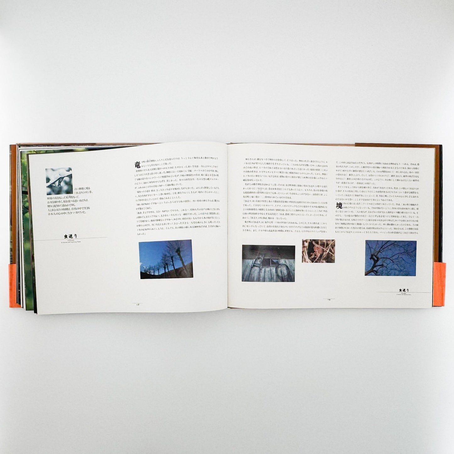 今森光彦　里山物語　In Harmony with Neighboring Nature 新潮社