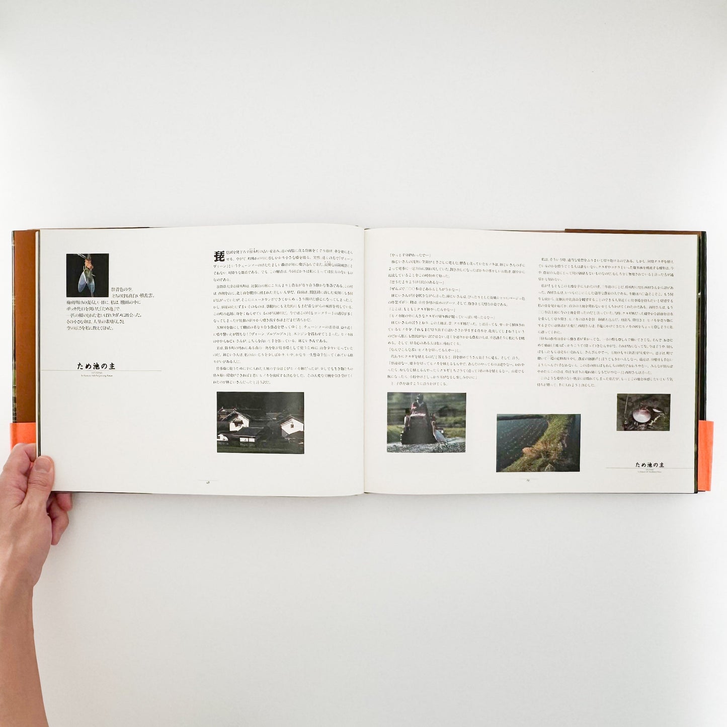 今森光彦　里山物語　In Harmony with Neighboring Nature 新潮社