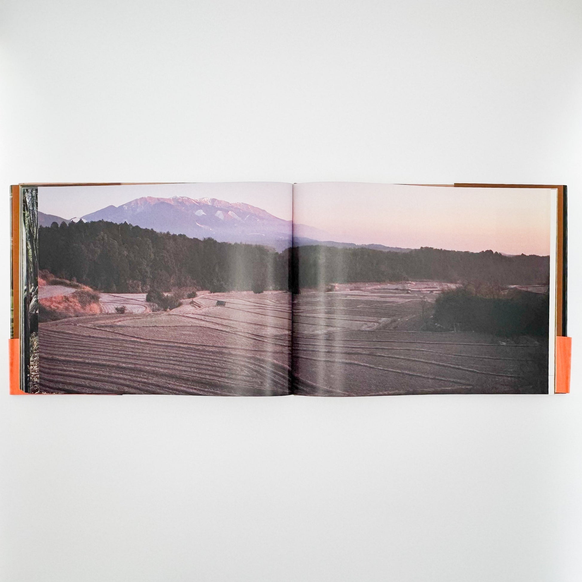 今森光彦　里山物語　In Harmony with Neighboring Nature 新潮社