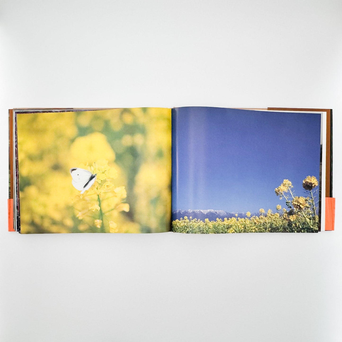 今森光彦　里山物語　In Harmony with Neighboring Nature 新潮社