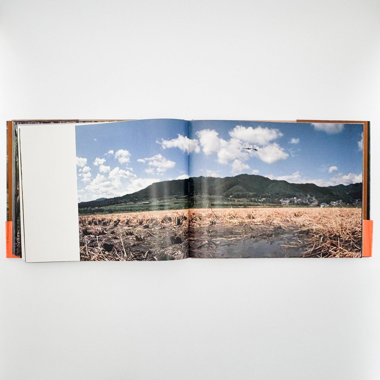 今森光彦　里山物語　In Harmony with Neighboring Nature 新潮社