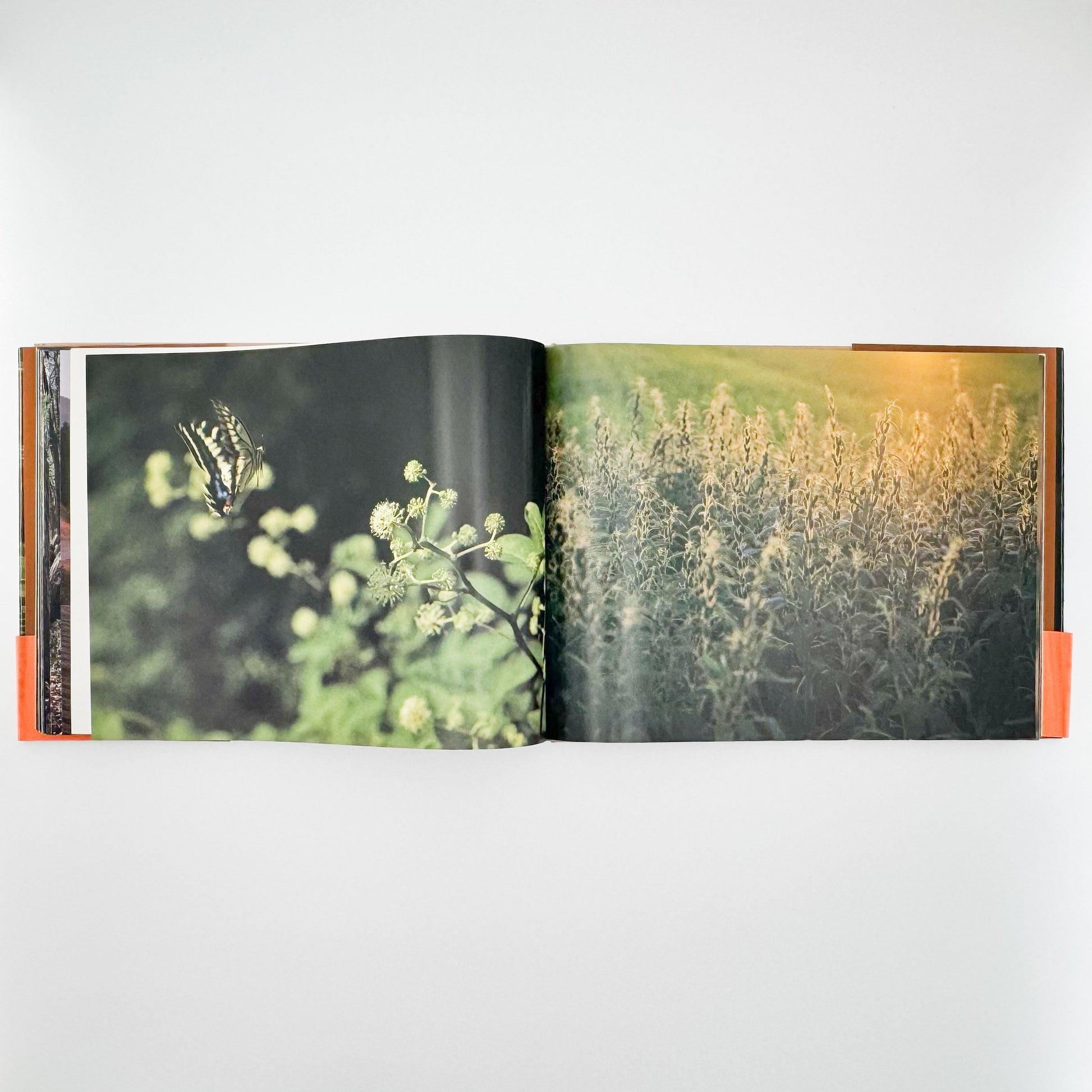 今森光彦　里山物語　In Harmony with Neighboring Nature 新潮社