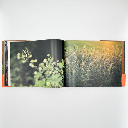 今森光彦　里山物語　In Harmony with Neighboring Nature 新潮社