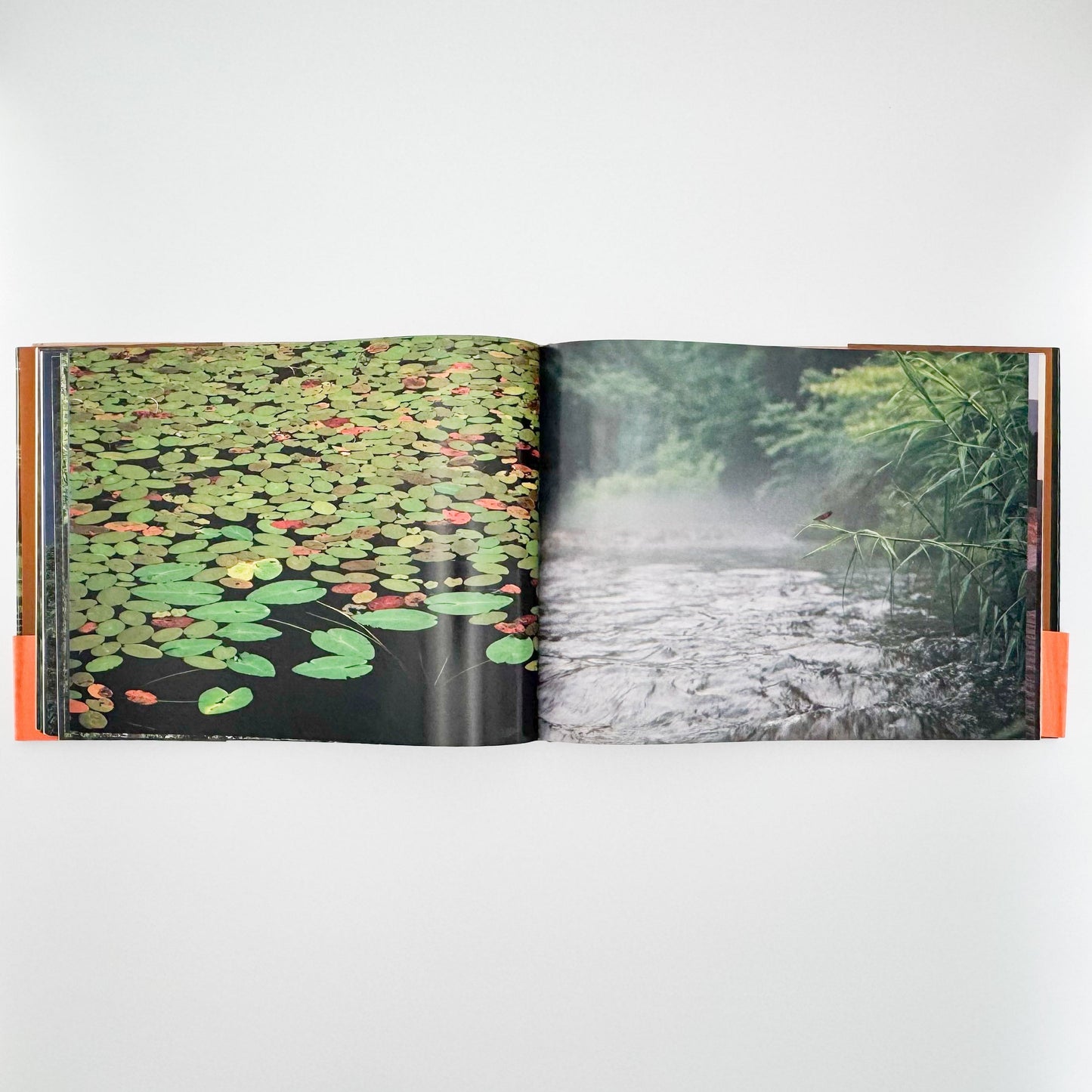 今森光彦　里山物語　In Harmony with Neighboring Nature 新潮社