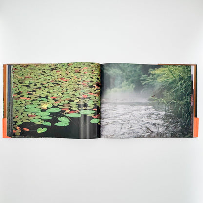 今森光彦　里山物語　In Harmony with Neighboring Nature 新潮社