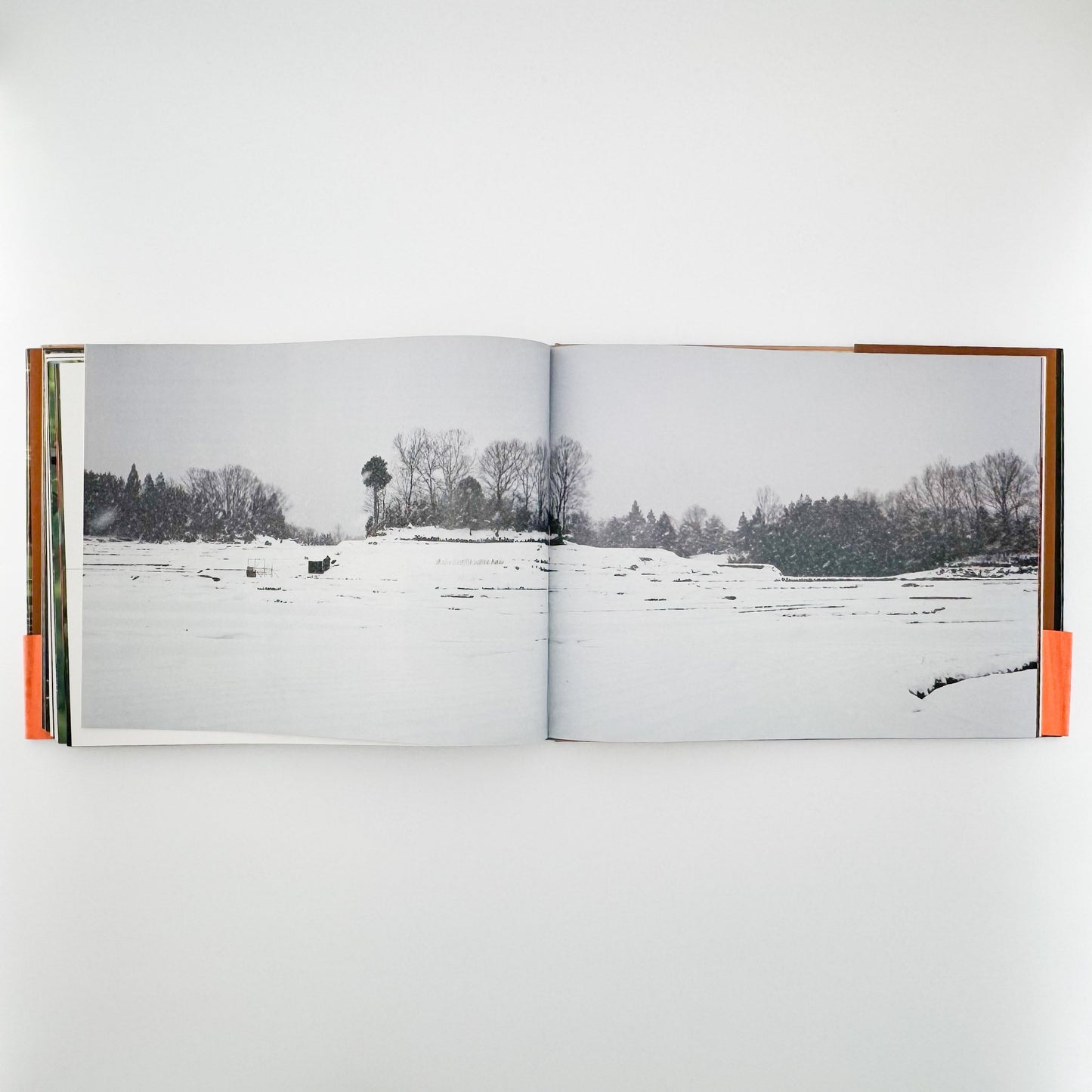 今森光彦　里山物語　In Harmony with Neighboring Nature 新潮社