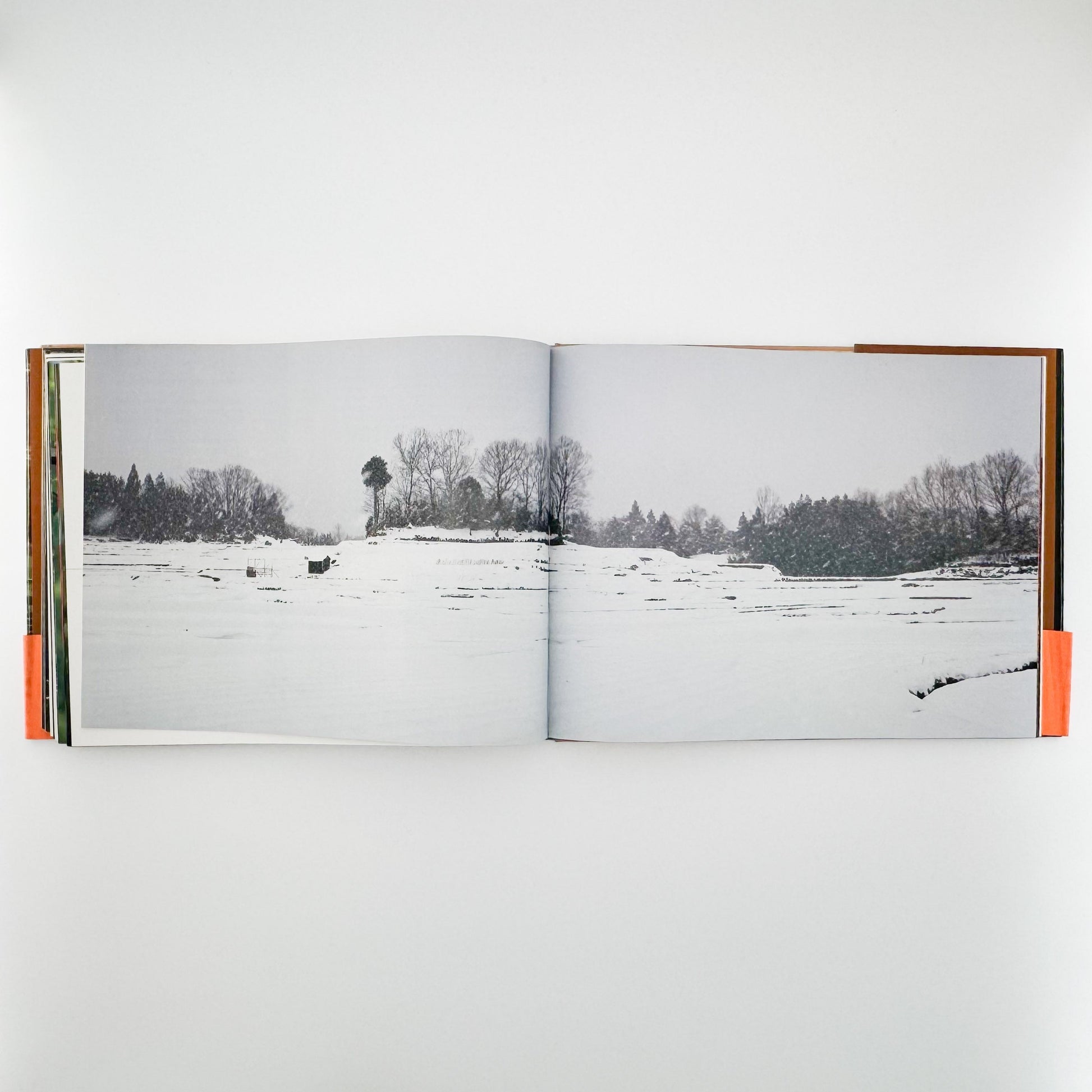 今森光彦　里山物語　In Harmony with Neighboring Nature 新潮社