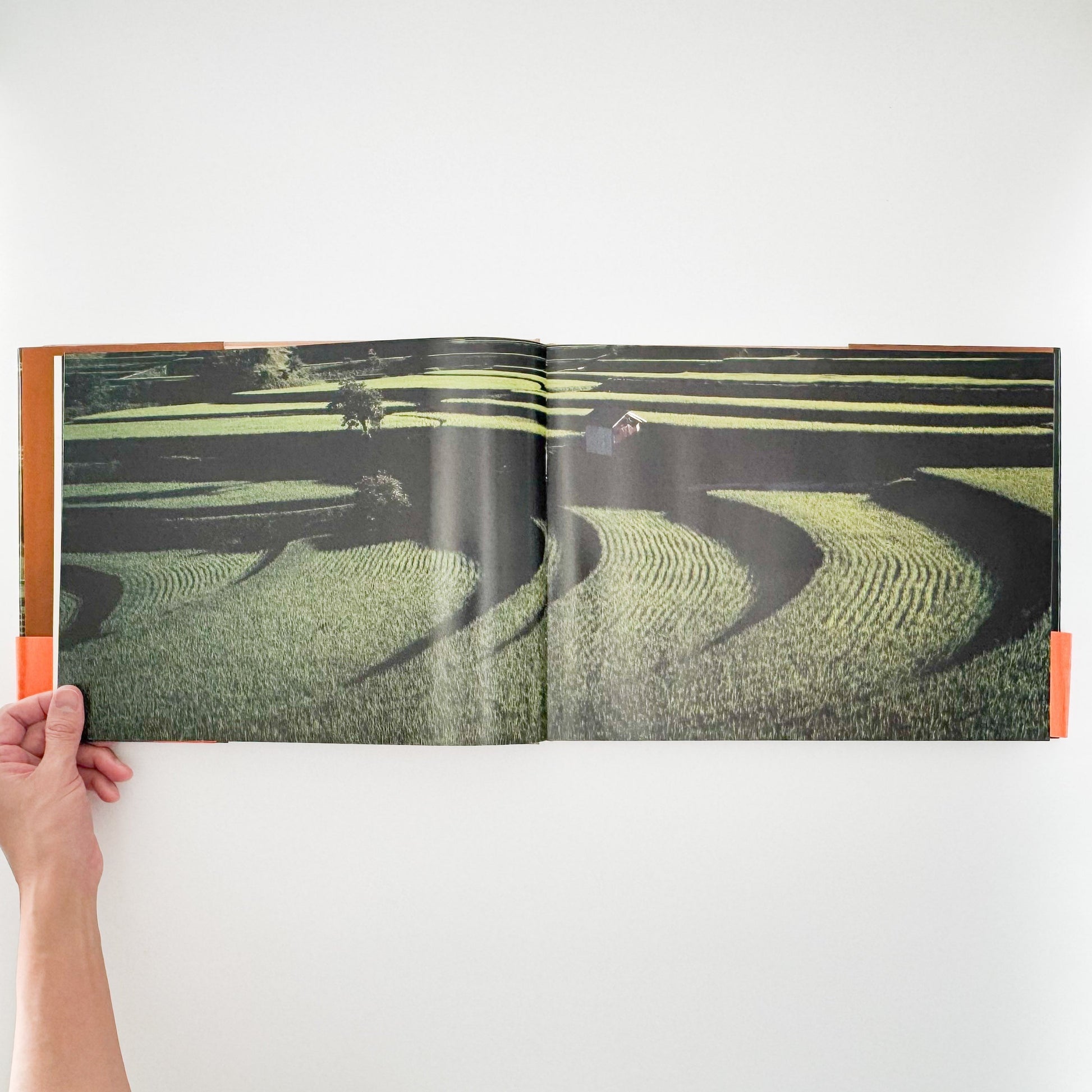 今森光彦　里山物語　In Harmony with Neighboring Nature 新潮社