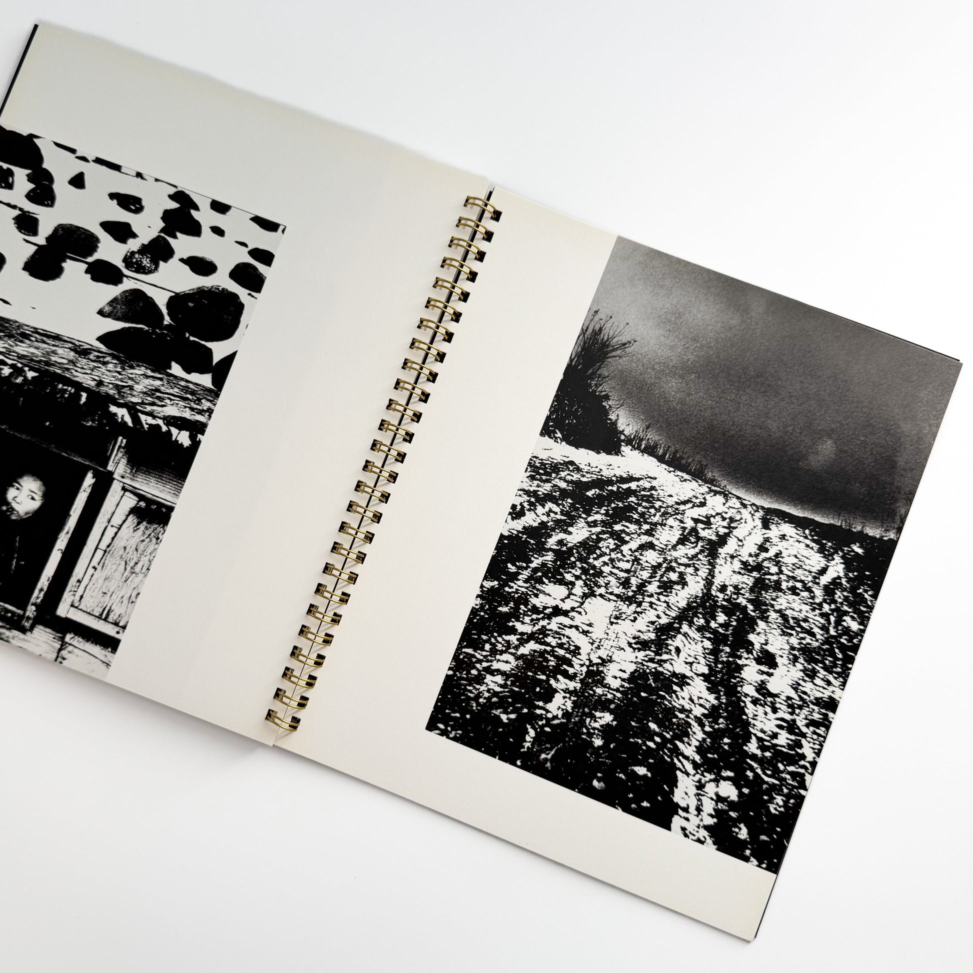 井上青龍　小島一郎　INOUE SEIRYU / KOJIMA ICHIRO ラットホールギャラリー