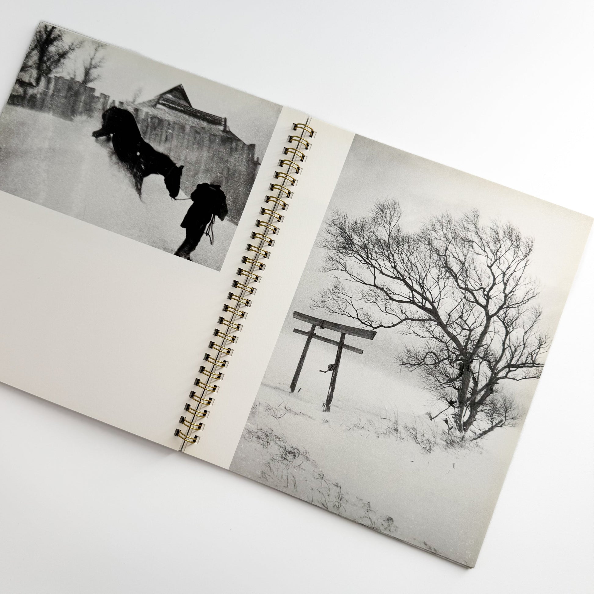 井上青龍　小島一郎　INOUE SEIRYU / KOJIMA ICHIRO ラットホールギャラリー