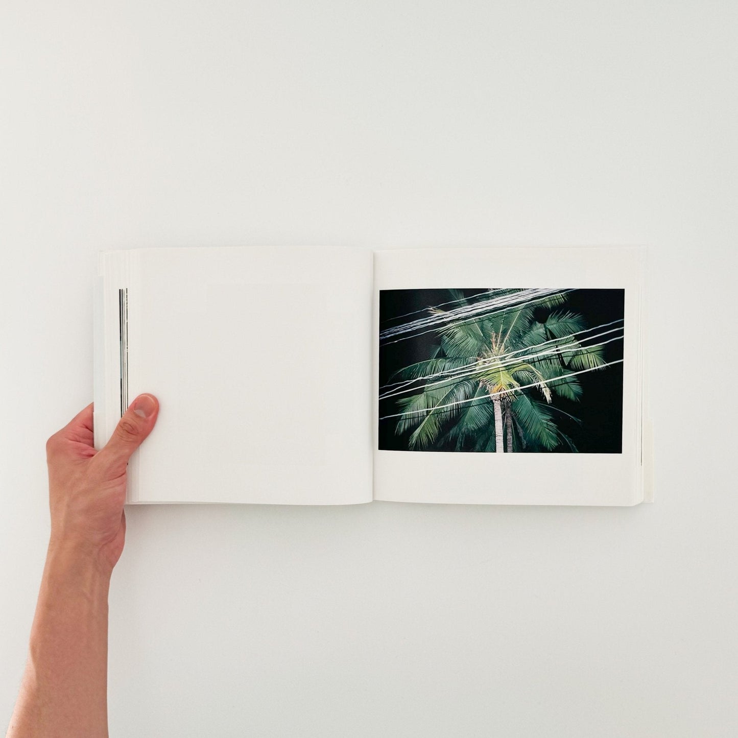 森栄喜　intimacy - ナナロク社 - 文福