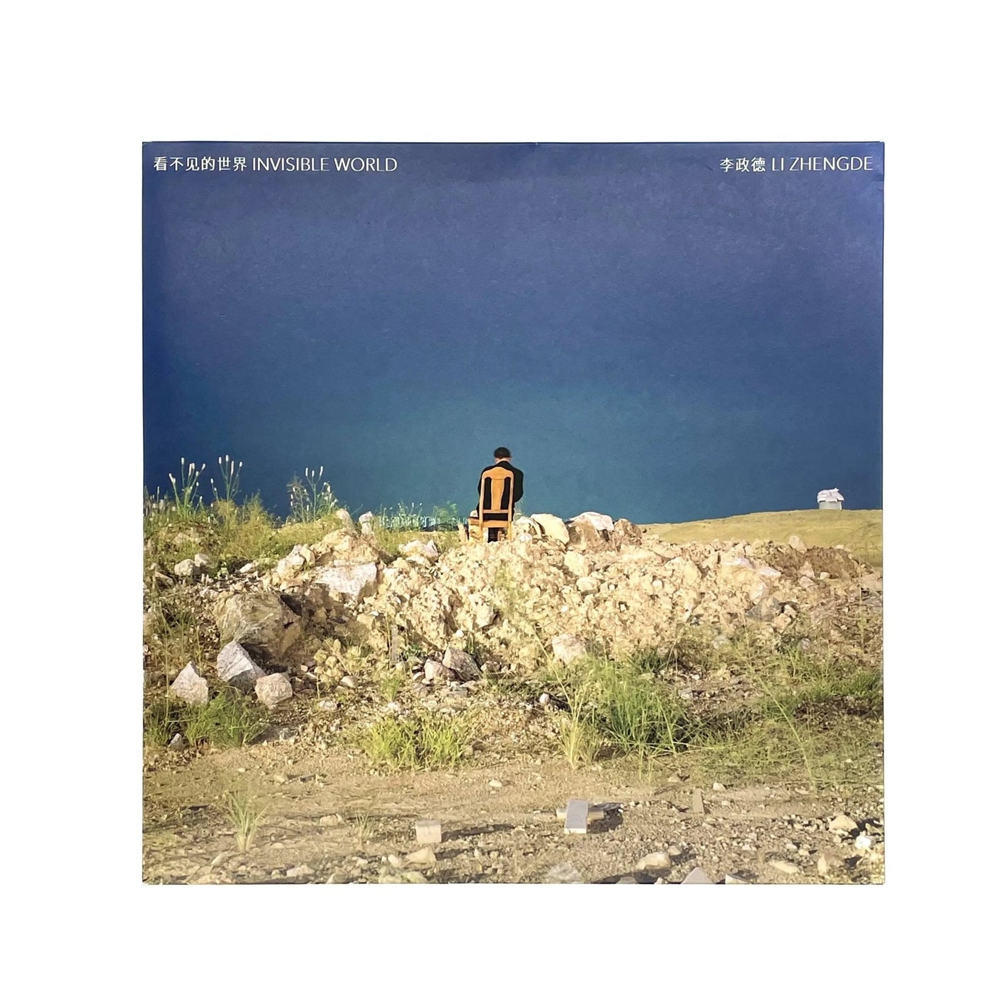 李政徳写真集　INVISIBLE WORLD - STAIRS PRESS - 文福