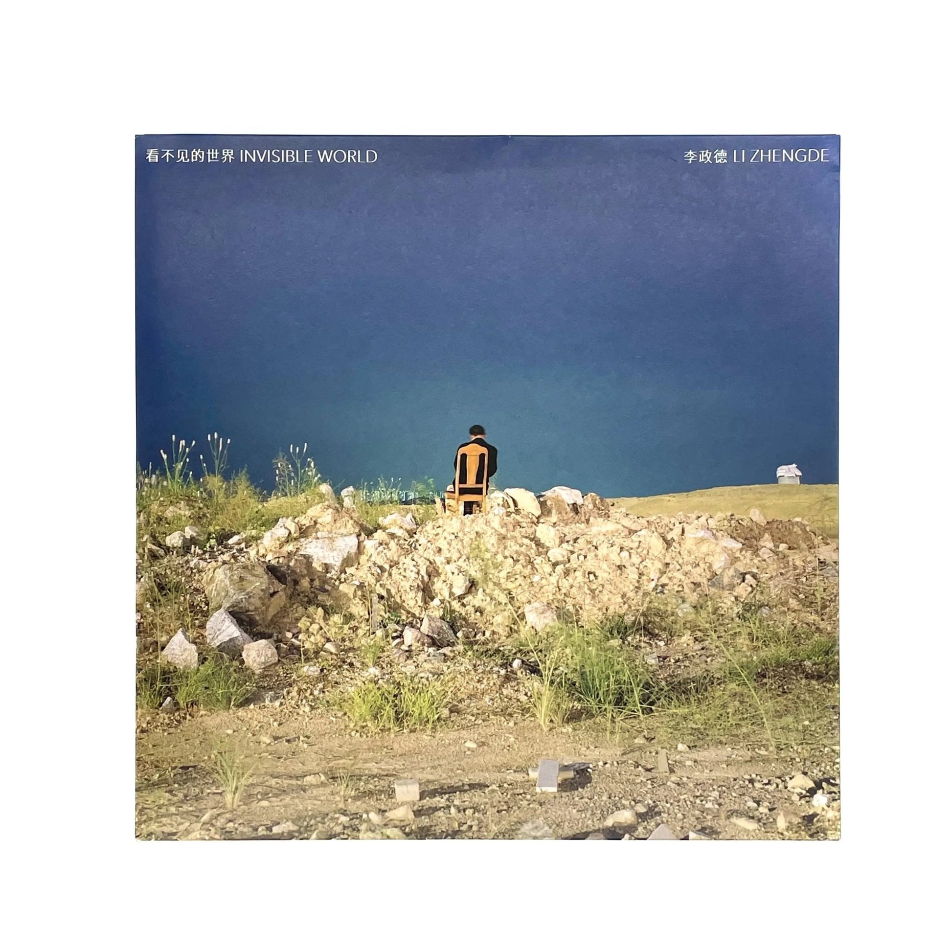 李政徳写真集　INVISIBLE WORLD - STAIRS PRESS - 文福