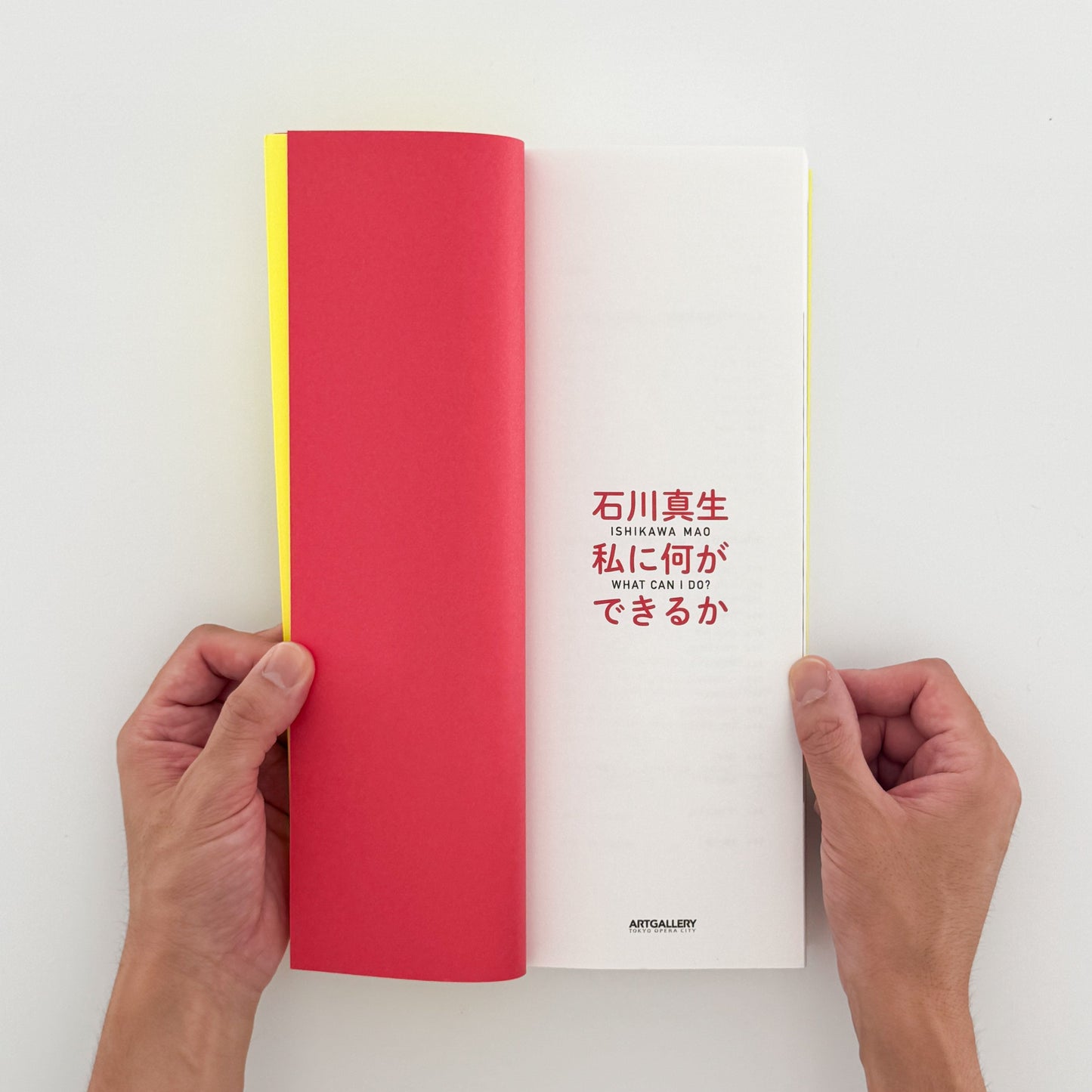 石川真生　私に何ができるか　展覧会図録 東京オペラシティ文化財団