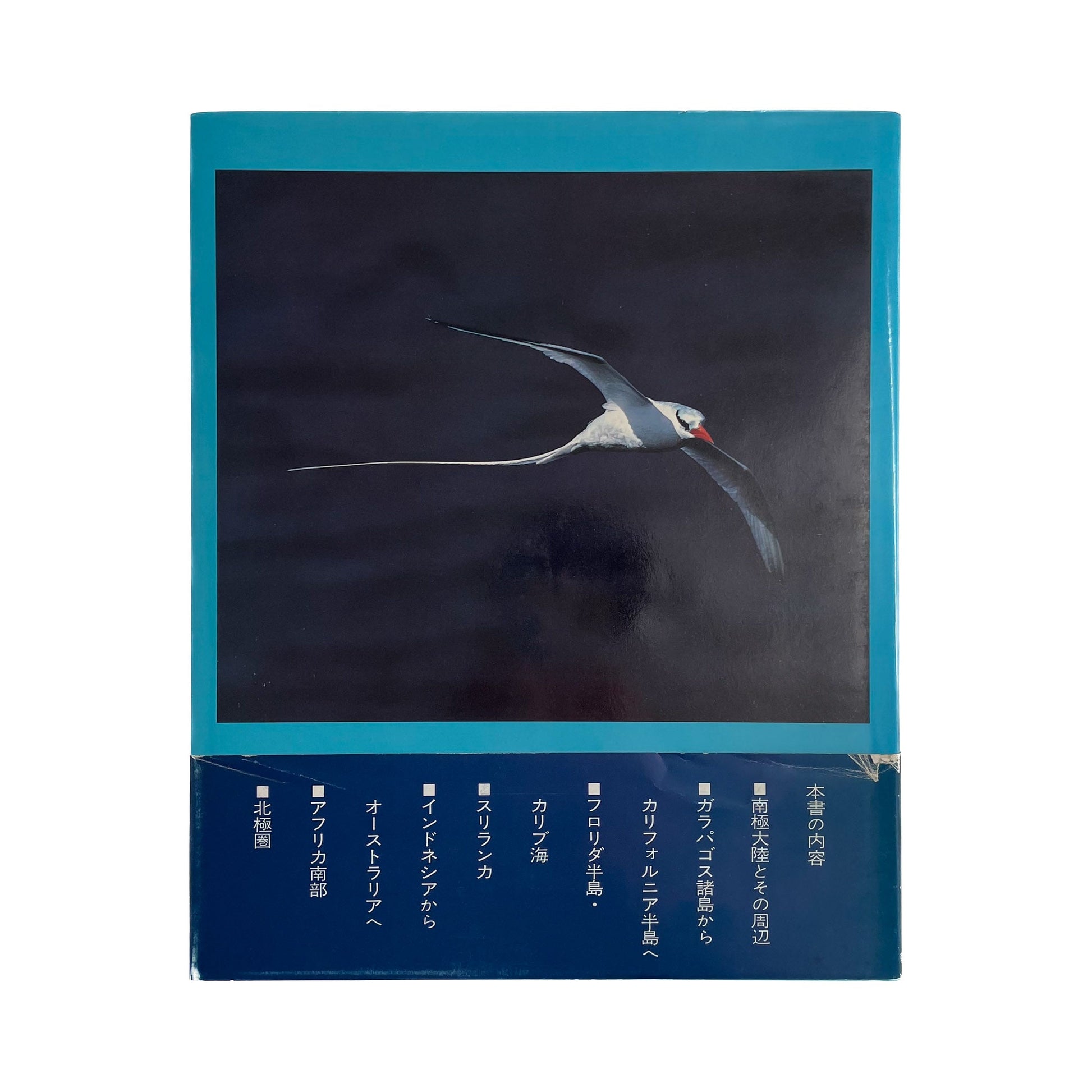 岩合光昭　海からの手紙 A Message From the Sea（献呈サイン入り） 朝日新聞社