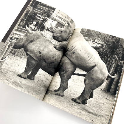 岩合徳光　交尾 ノーベル書房