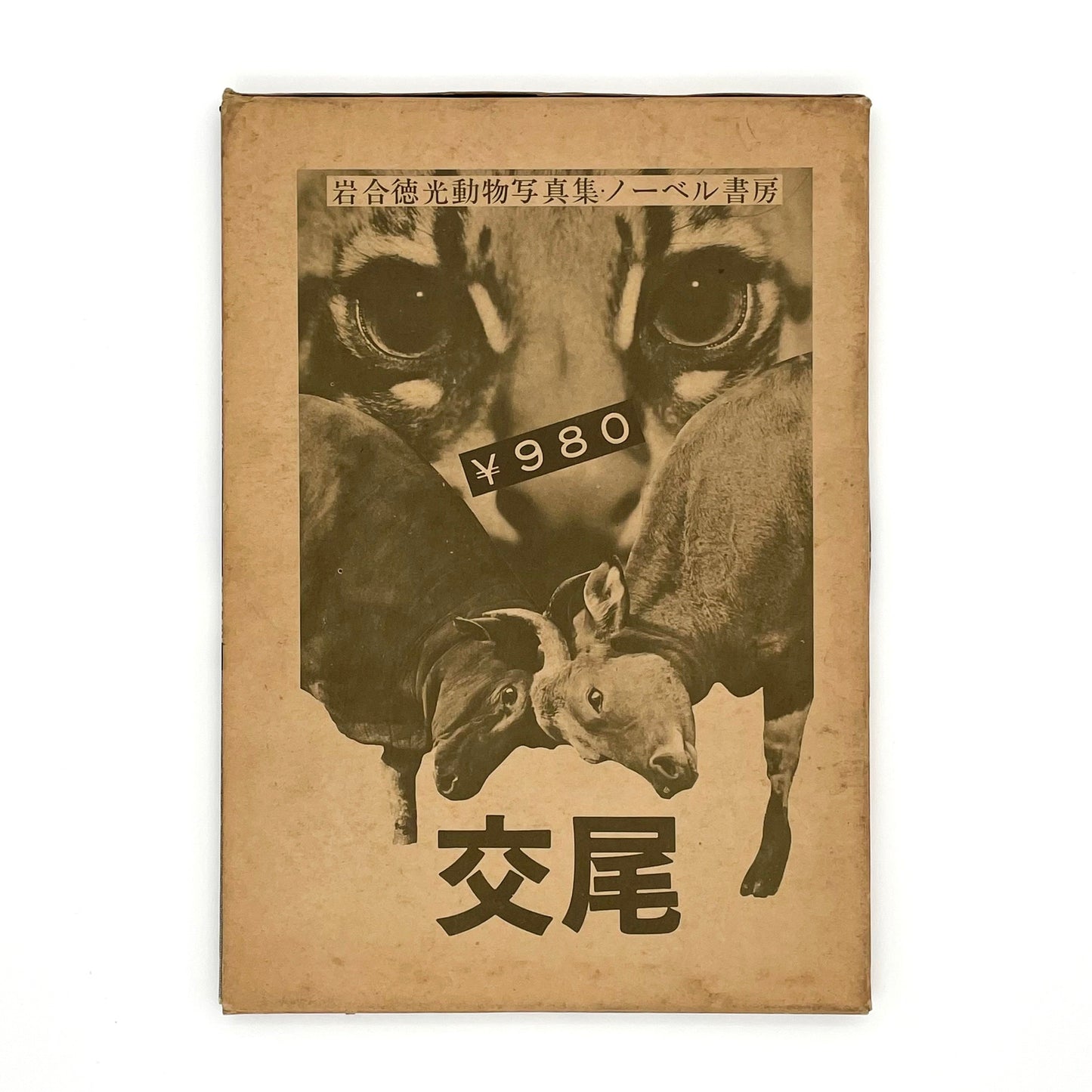 岩合徳光　交尾 ノーベル書房