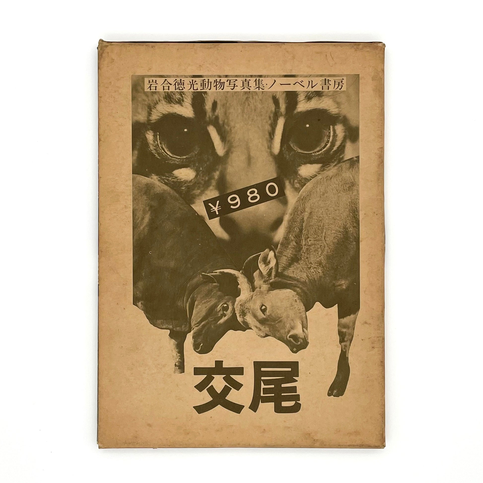 岩合徳光　交尾 ノーベル書房