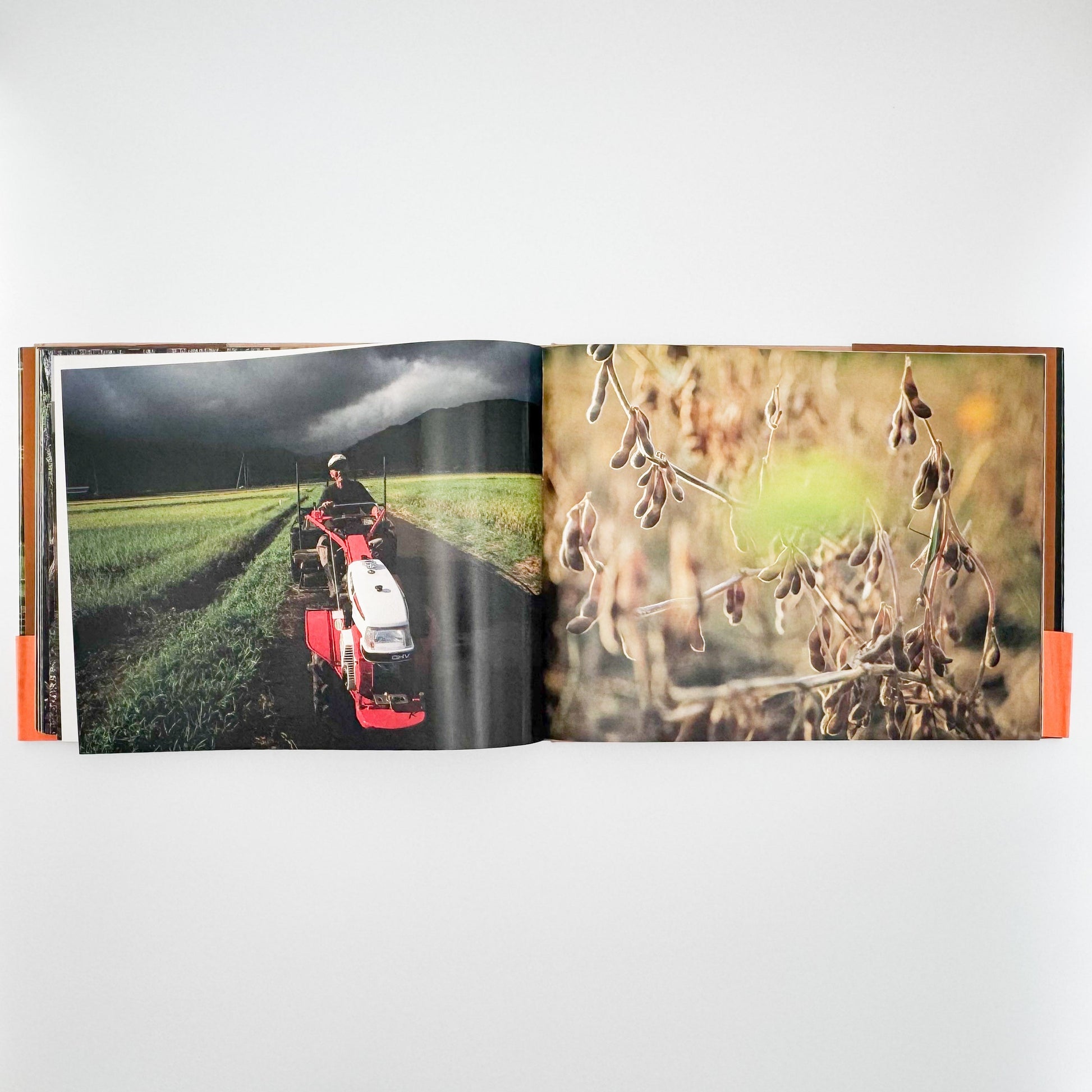 今森光彦　里山物語　In Harmony with Neighboring Nature 新潮社