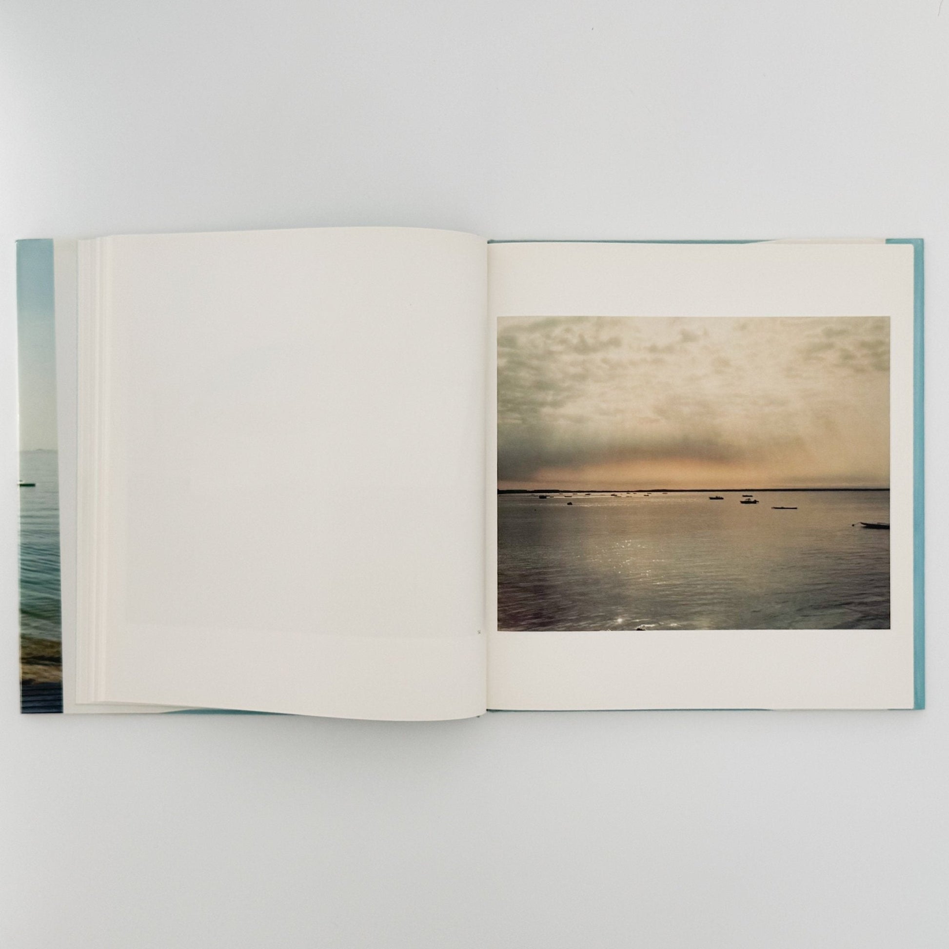 ジョエル・マイヤーウィッツ　A Summer’s Day（リブロポート版） - リブロポート - 文福