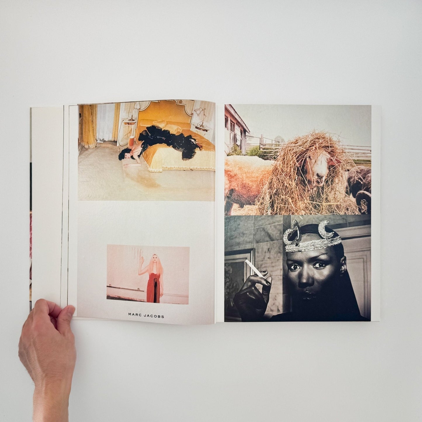 (英文) ユルゲン・テラー Juergen TELLER　Woo! - Steidl - 文福