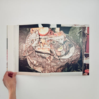 (英文) ユルゲン・テラー Juergen TELLER　Woo! - Steidl - 文福