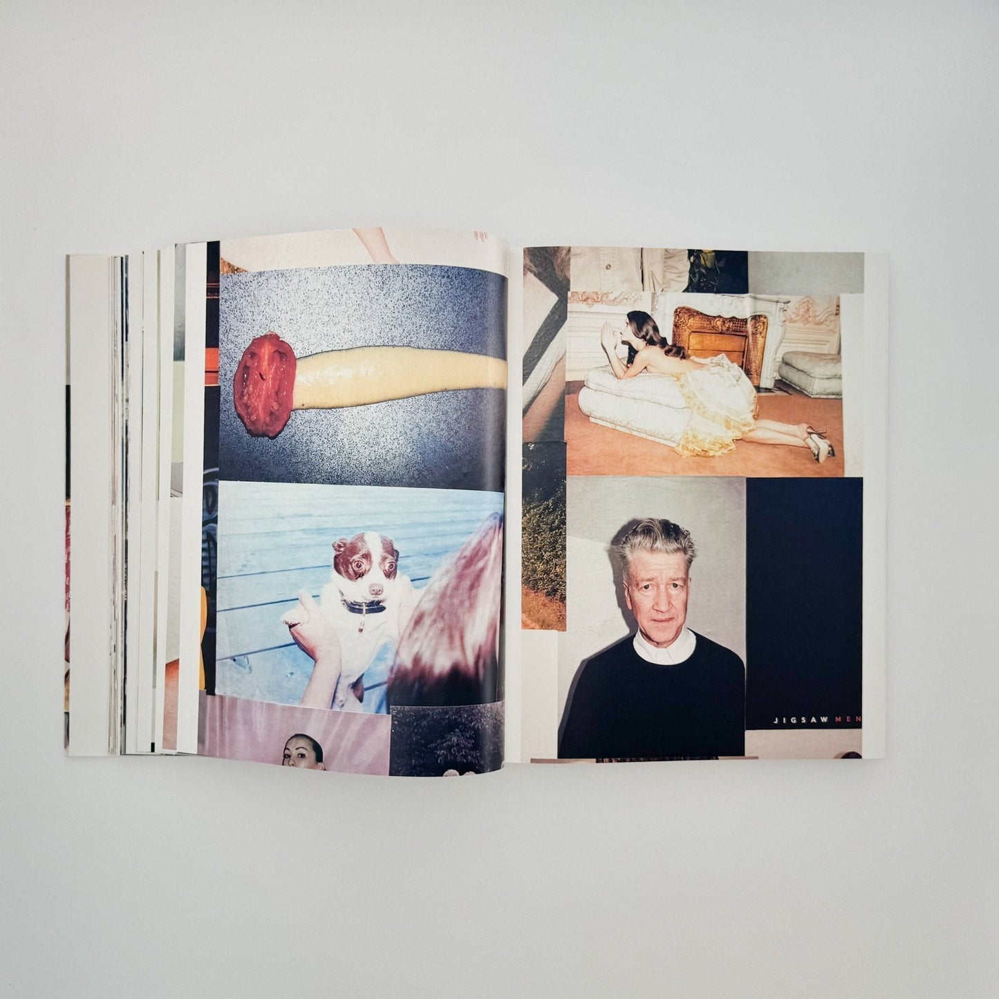 (英文) ユルゲン・テラー Juergen TELLER　Woo! - Steidl - 文福