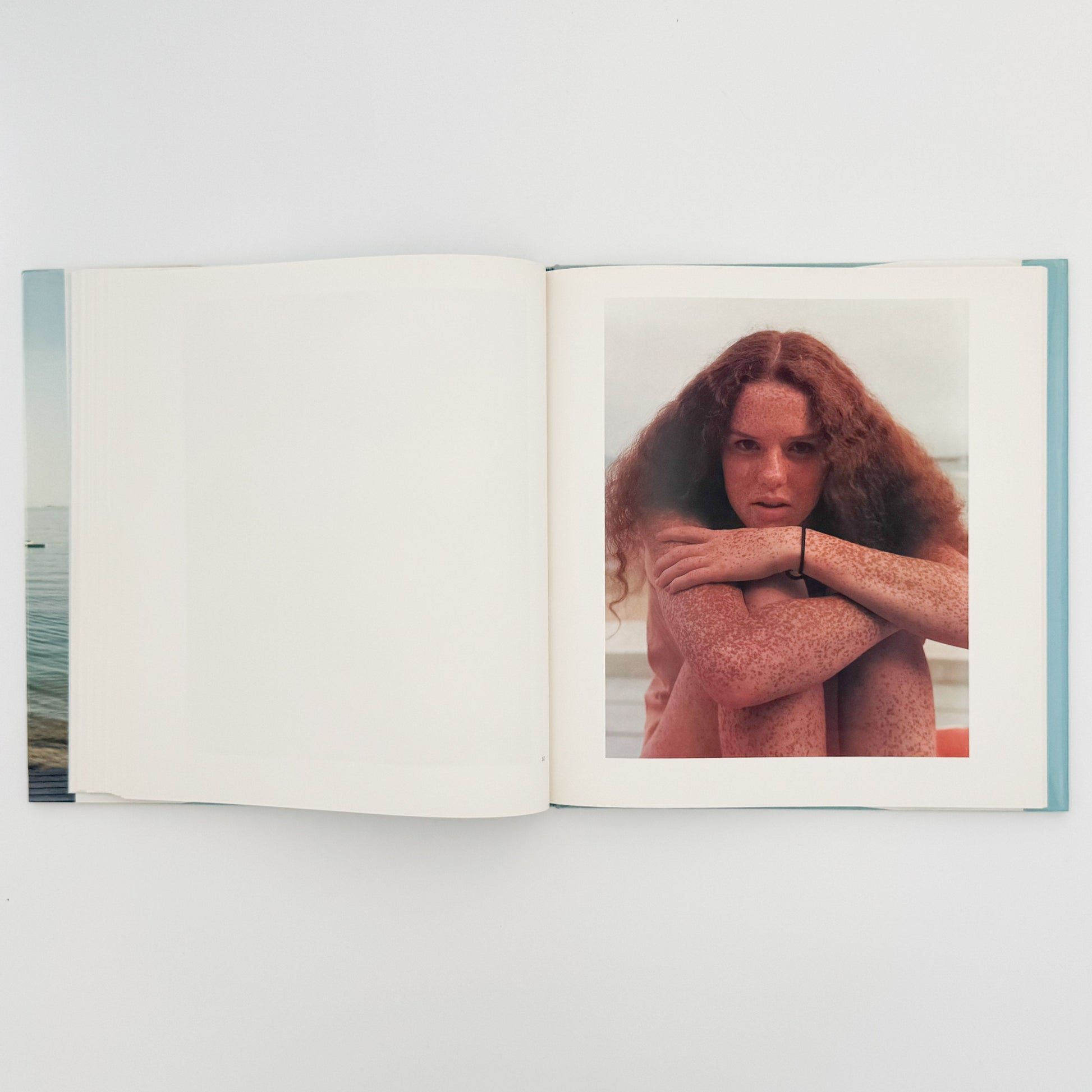 ジョエル・マイヤーウィッツ　A Summer’s Day（リブロポート版） リブロポート