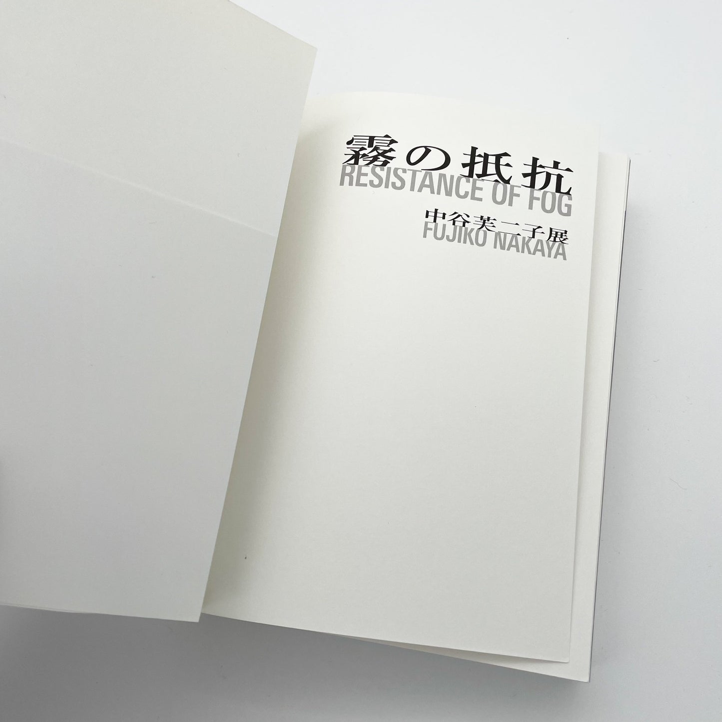霧の抵抗 中谷芙二子展 (公式展覧会図録) Resistance of Fog-Fujiko Nakaya