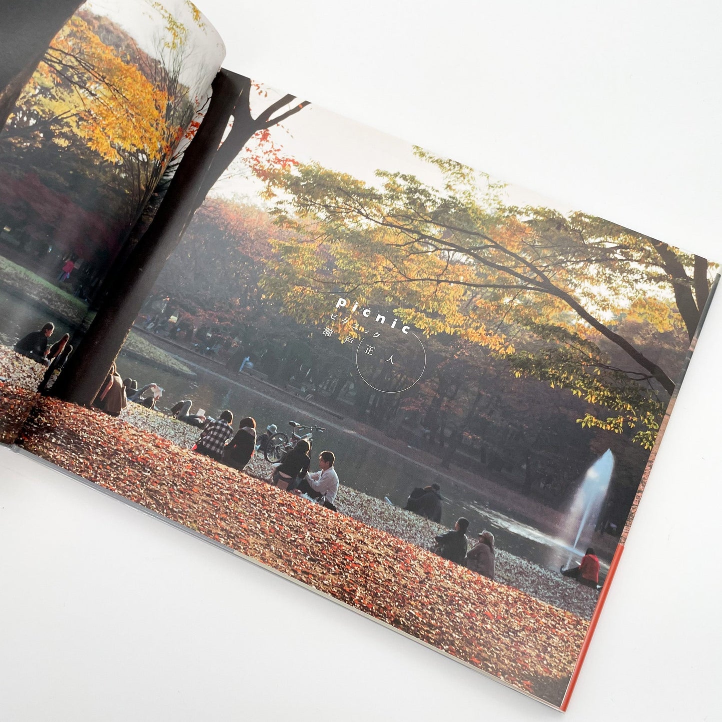 瀬戸正人　ピクニック PLACE M