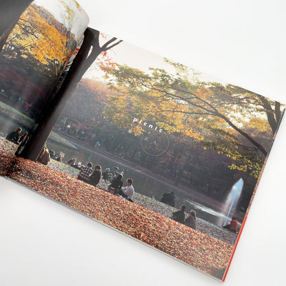 瀬戸正人　ピクニック PLACE M