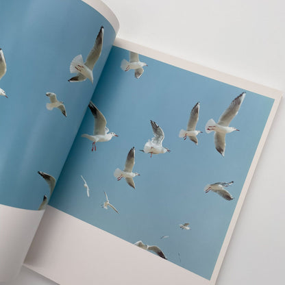 川内倫子　うたたね - 文福