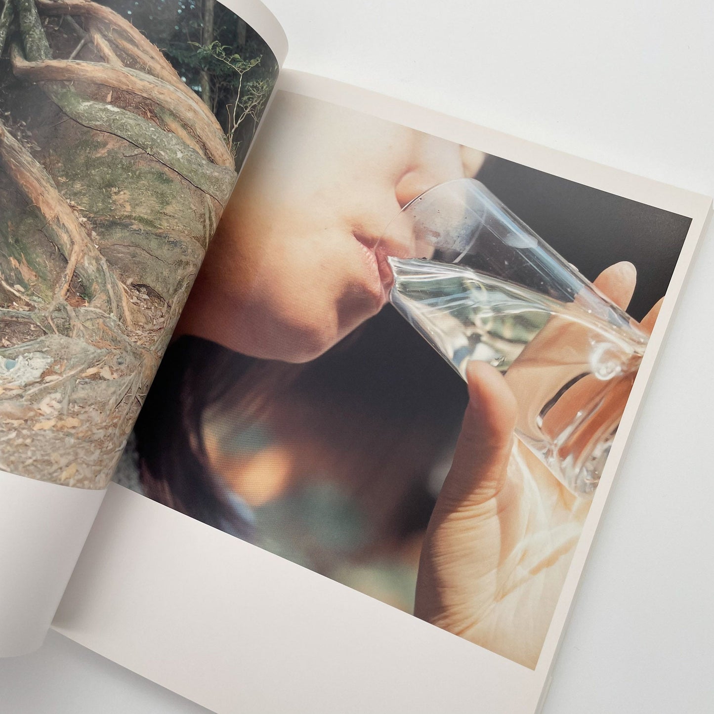 川内倫子　うたたね - 文福