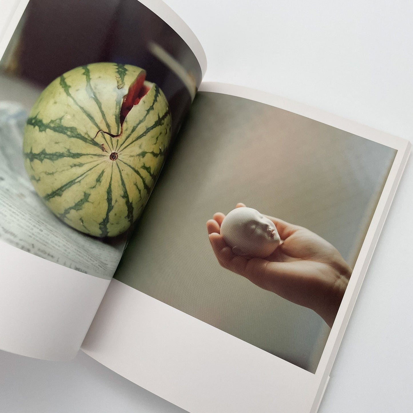 川内倫子　うたたね - 文福