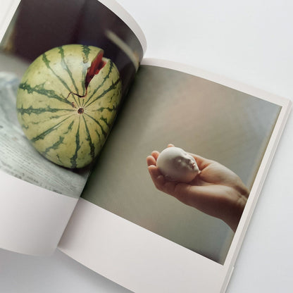 川内倫子　うたたね - 文福