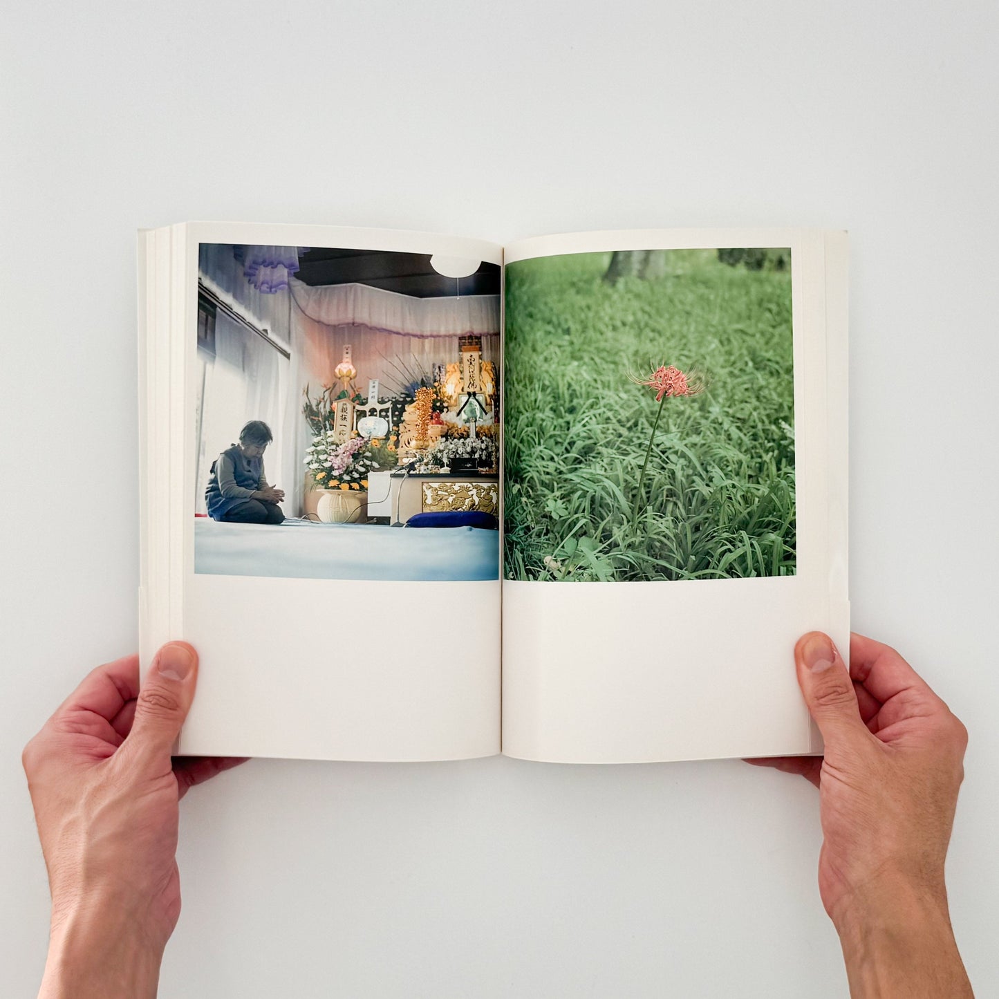 川内倫子　CUI CUI [キュイ キュイ] - 写真集