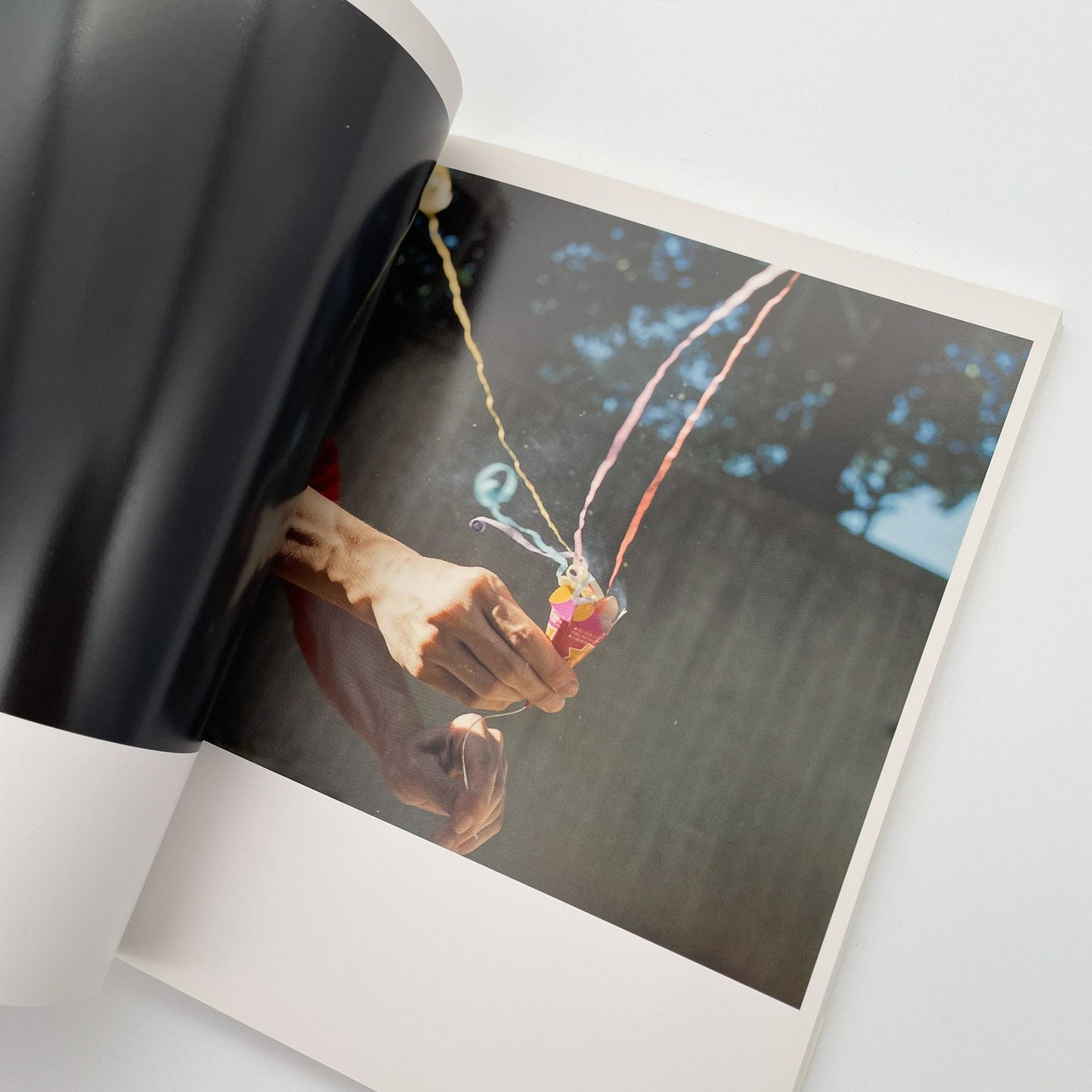 川内倫子　うたたね - 文福