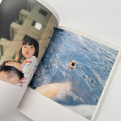 川内倫子　うたたね - 文福