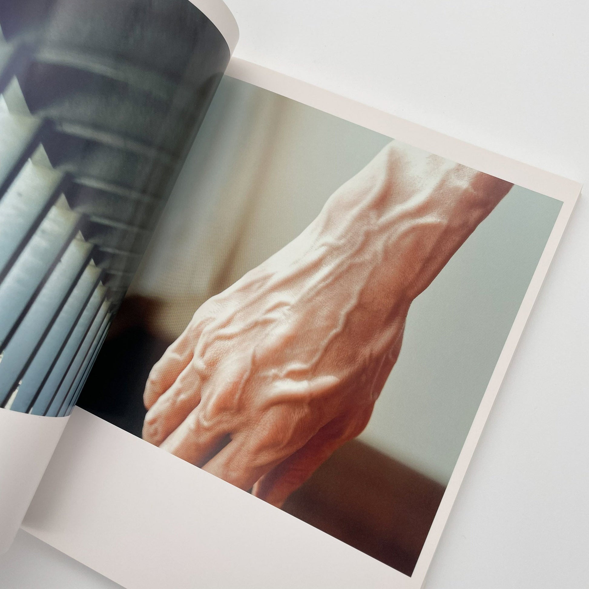 川内倫子　うたたね - 文福